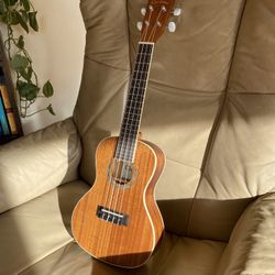 Cordoba Concert Ukulele