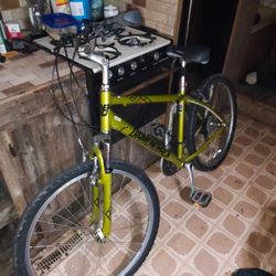 2017   DiamondBack