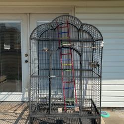 Bird Cage 