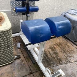 Sorinex GHD glute ham developer