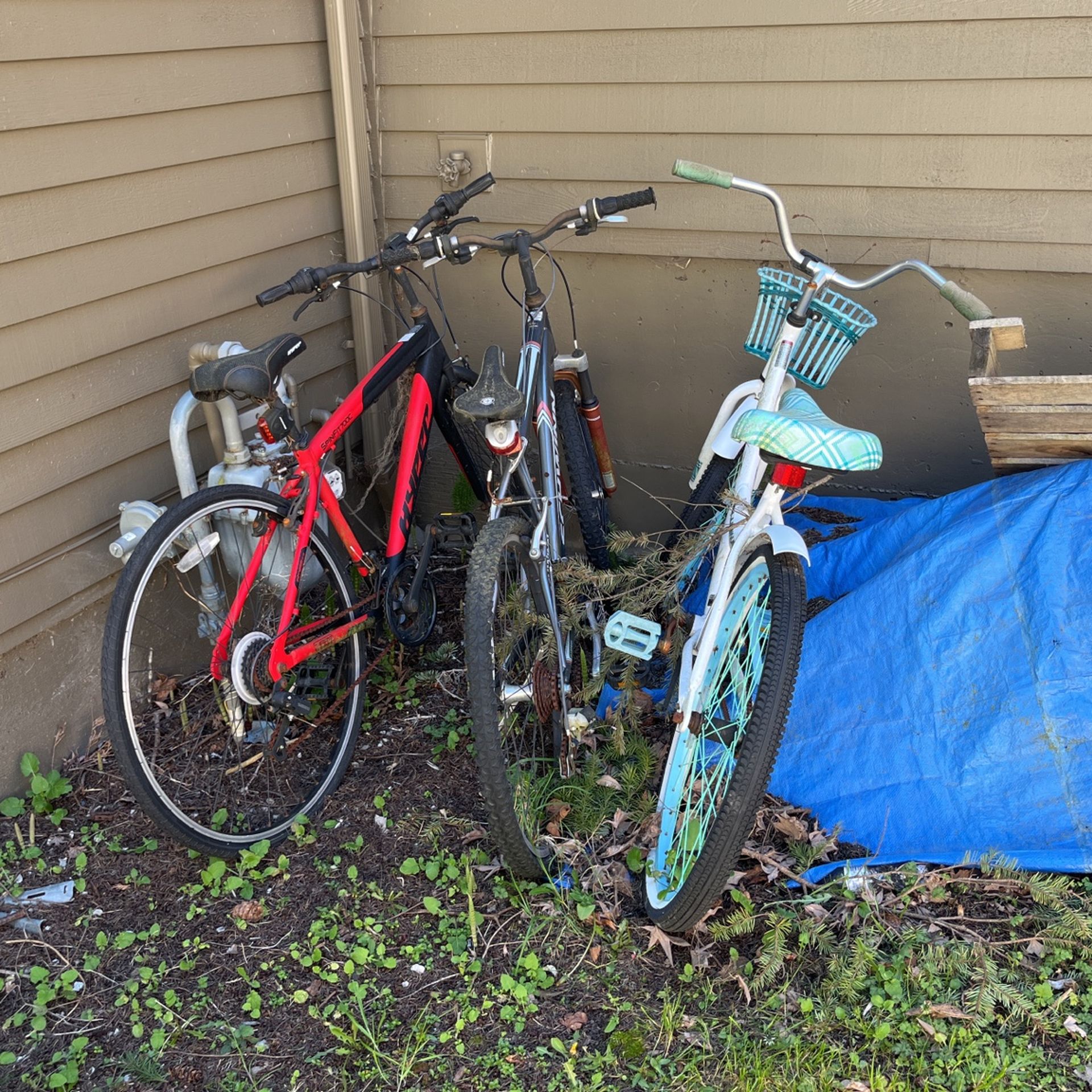 3 Bikes Free