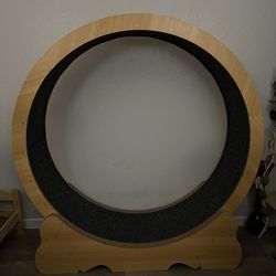 Cat Wheel