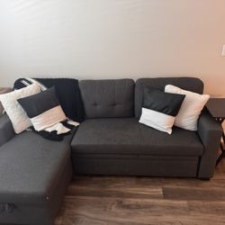 Couch with Sleeper 