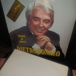 Vinyl Record Pietromonaco