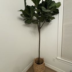 World Market Faux Fiddle Leaf Plant 7ft