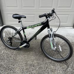Great Condition Schwinn Bike