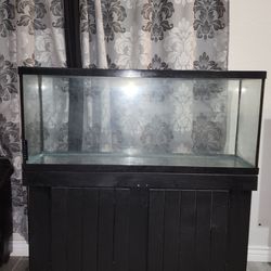 Fish Tank