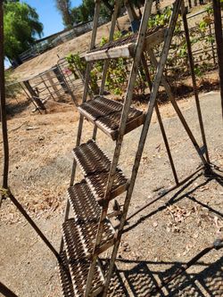 Ladder with steps