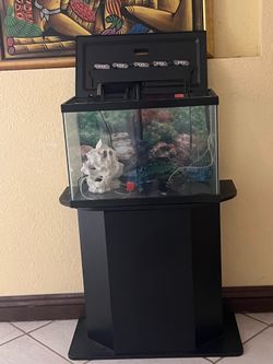Fish tank and stand