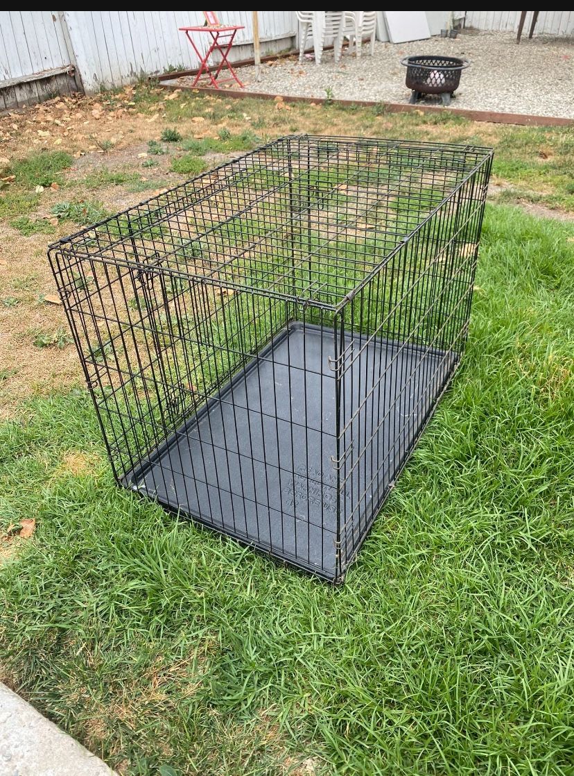 Dog Crate 