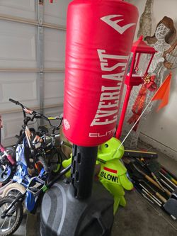 Everlast bag