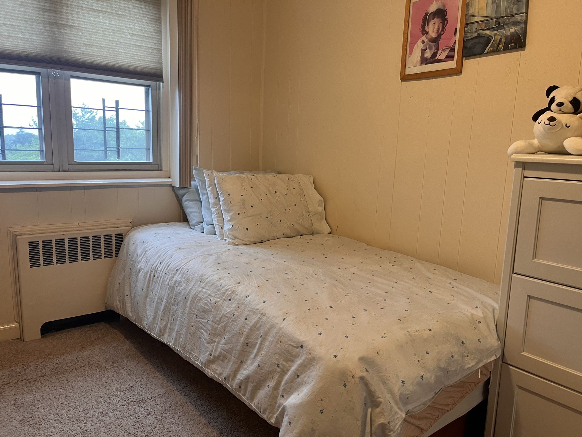 Sofa bed Sale In Flushing Queens