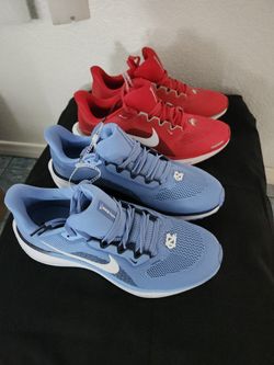 Nike Pegasus 41