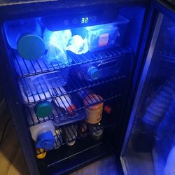 Mini Fridge