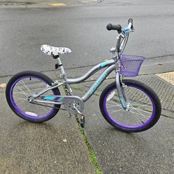 Kids Bike Schwinn Astrid 20", Hand And Foot Brakes, 4-10 Years, Very Good Condition