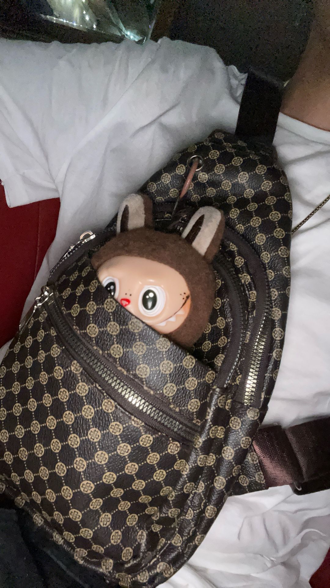 bag