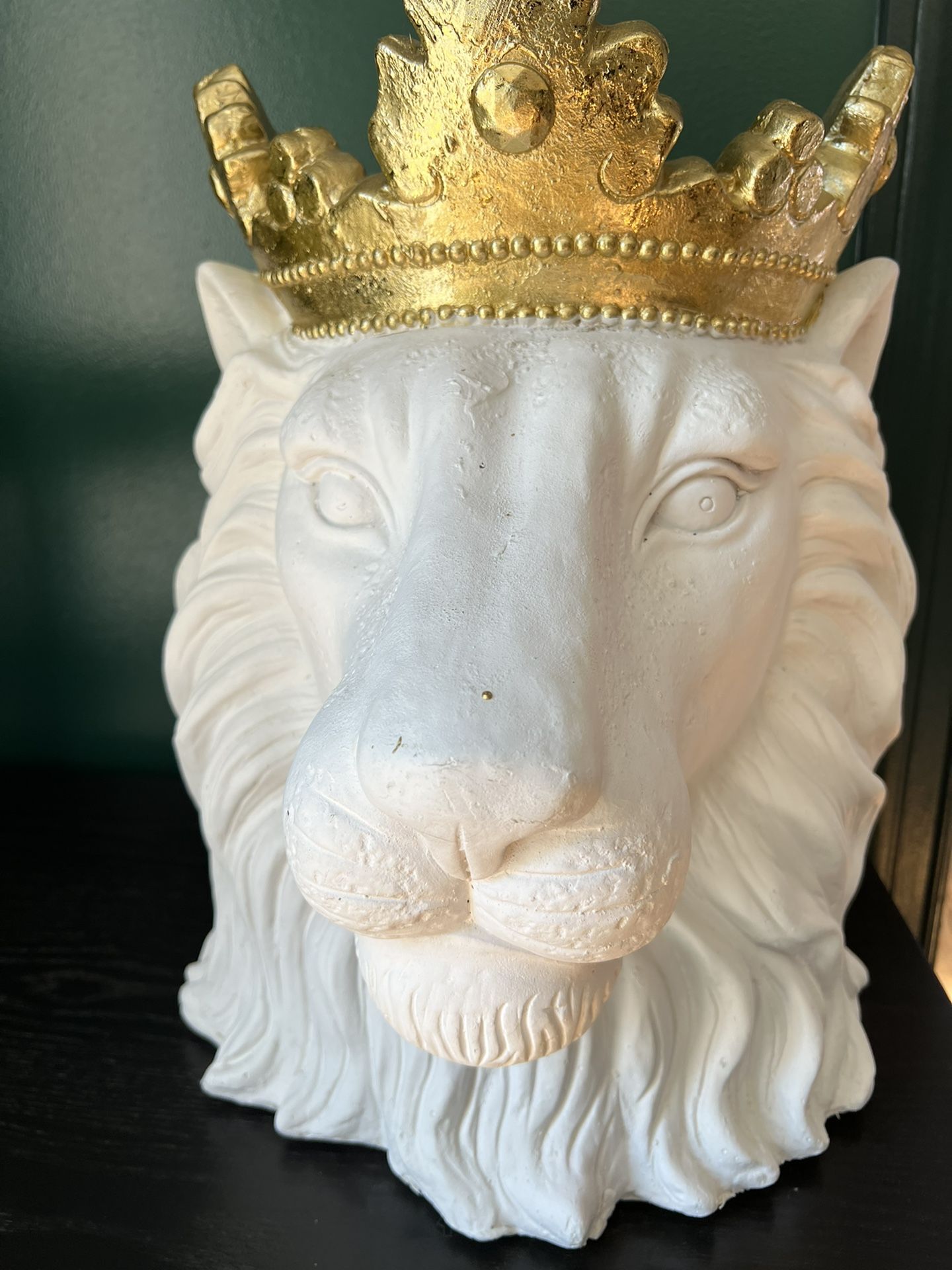 White Lion Head