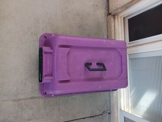 Purple pet carrier good condition 💜