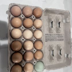 Fresh Farm Eggs 