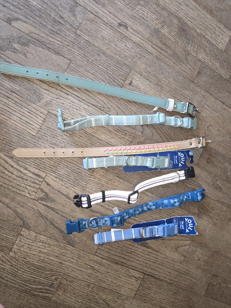 Dog Collars New! Sz M