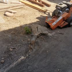 Stump Grinding 