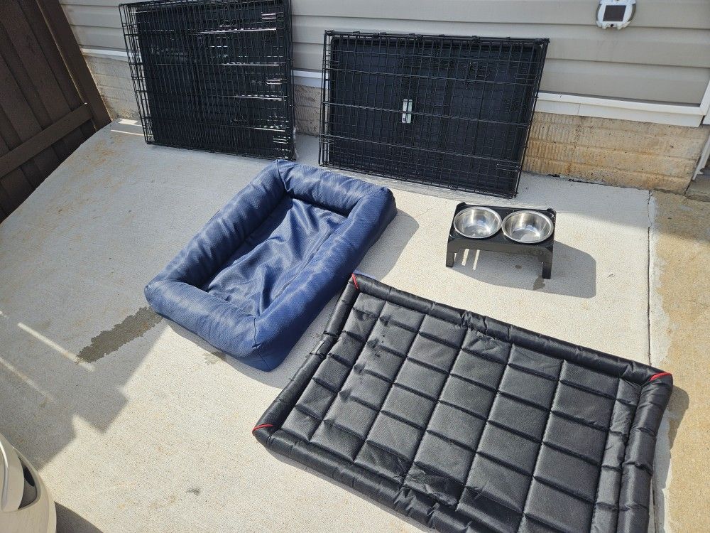 Dog Accessories Must GO