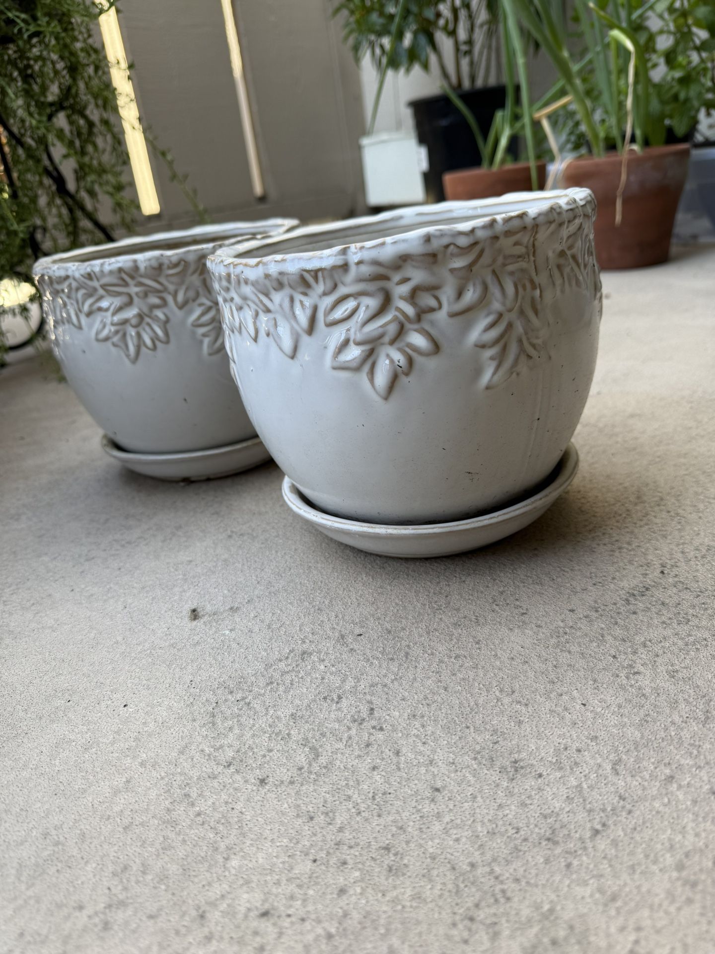 Planters Plant Pots