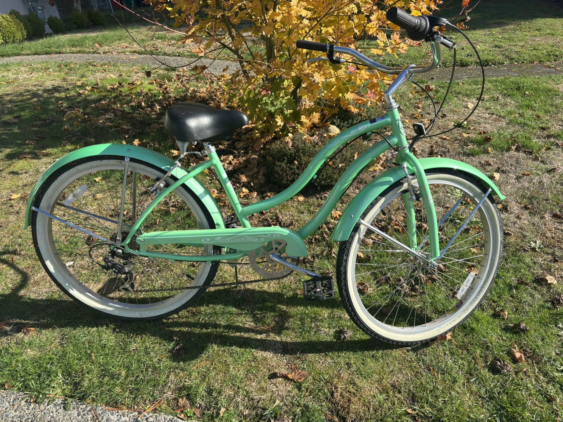 Beach Cruiser