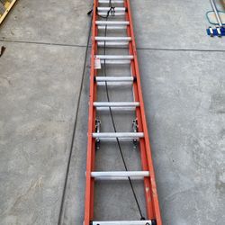 20ft Extension Latter 