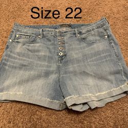 Torrid Shorts