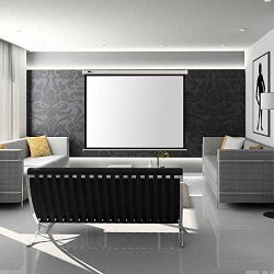 Projector Screen