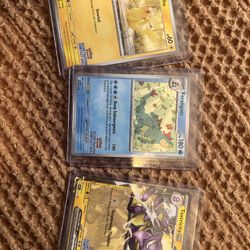 Pokemon Illustration 2024 Contest 