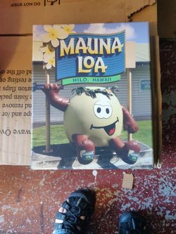 Mauna Loa Macadamia Nut 🥜 Framed Photo