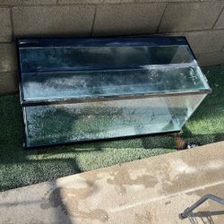 40 gallon FISH TANK