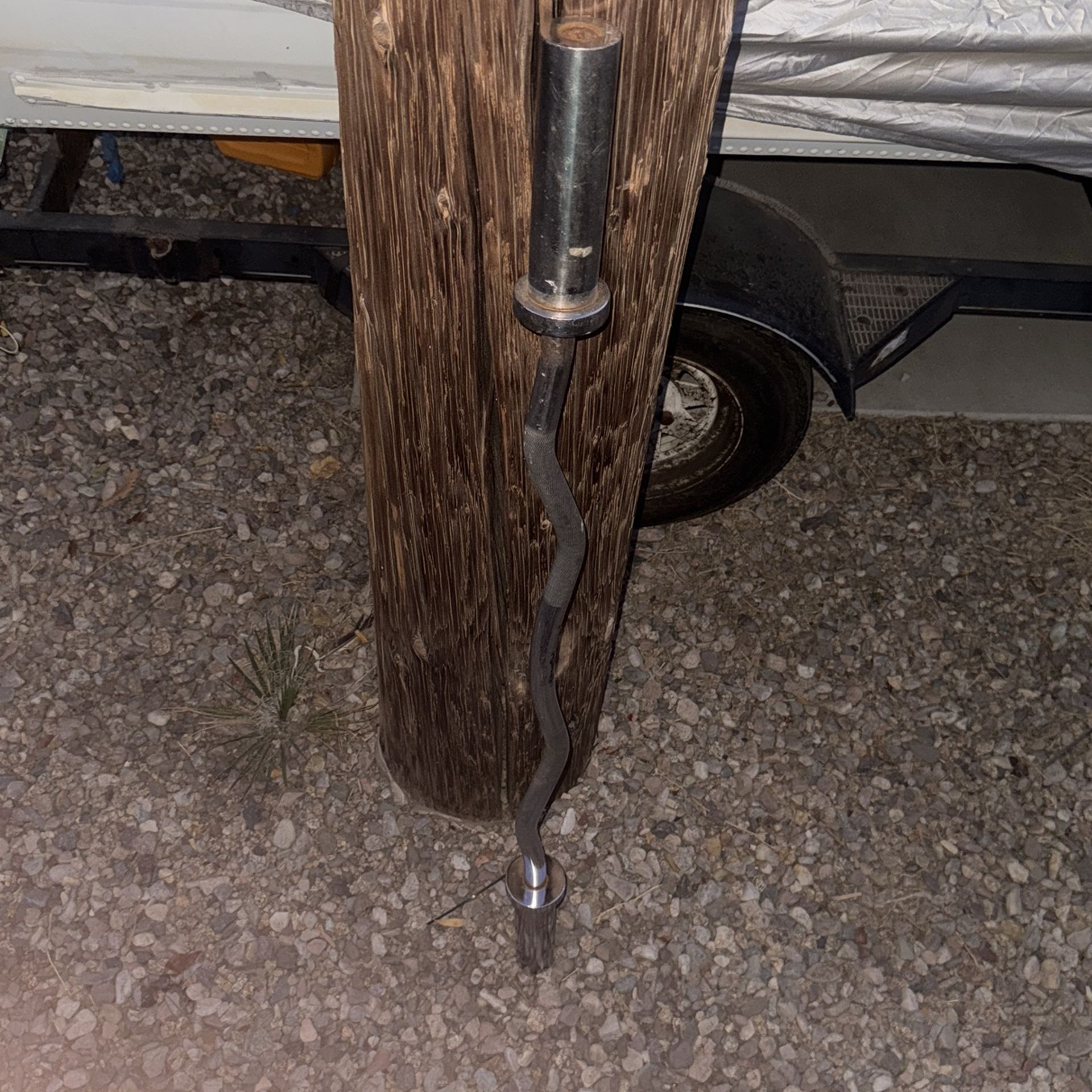 Olympic Curl Bar