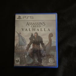 Assassins Creed Valhalla 