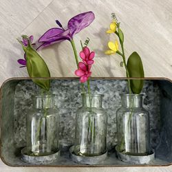 Reclaimed Galvanized Metal Wall Basket Tray Glass Vases