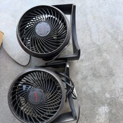 Fan