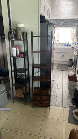 Bookcase/Laddershelf