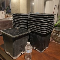 10x10x10.5 inch square plastic plant pot $10 for10