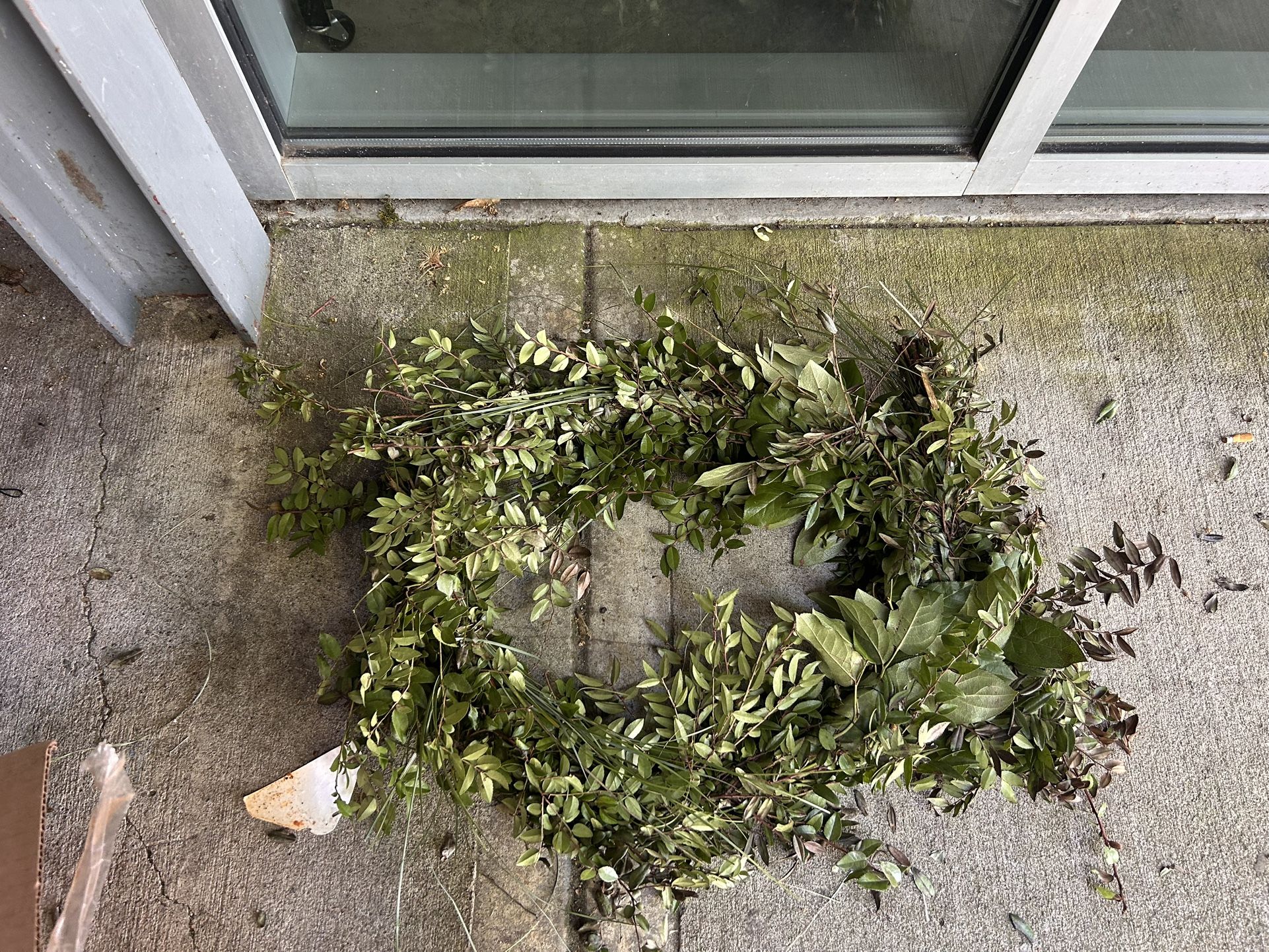 Box Of Live Garland- FREE