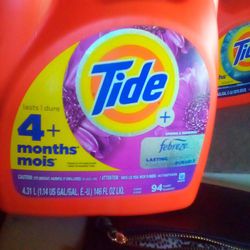 Tide Laundry Soap 