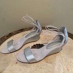 Silver Wedge 