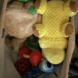 Miscellaneous Dog Toys