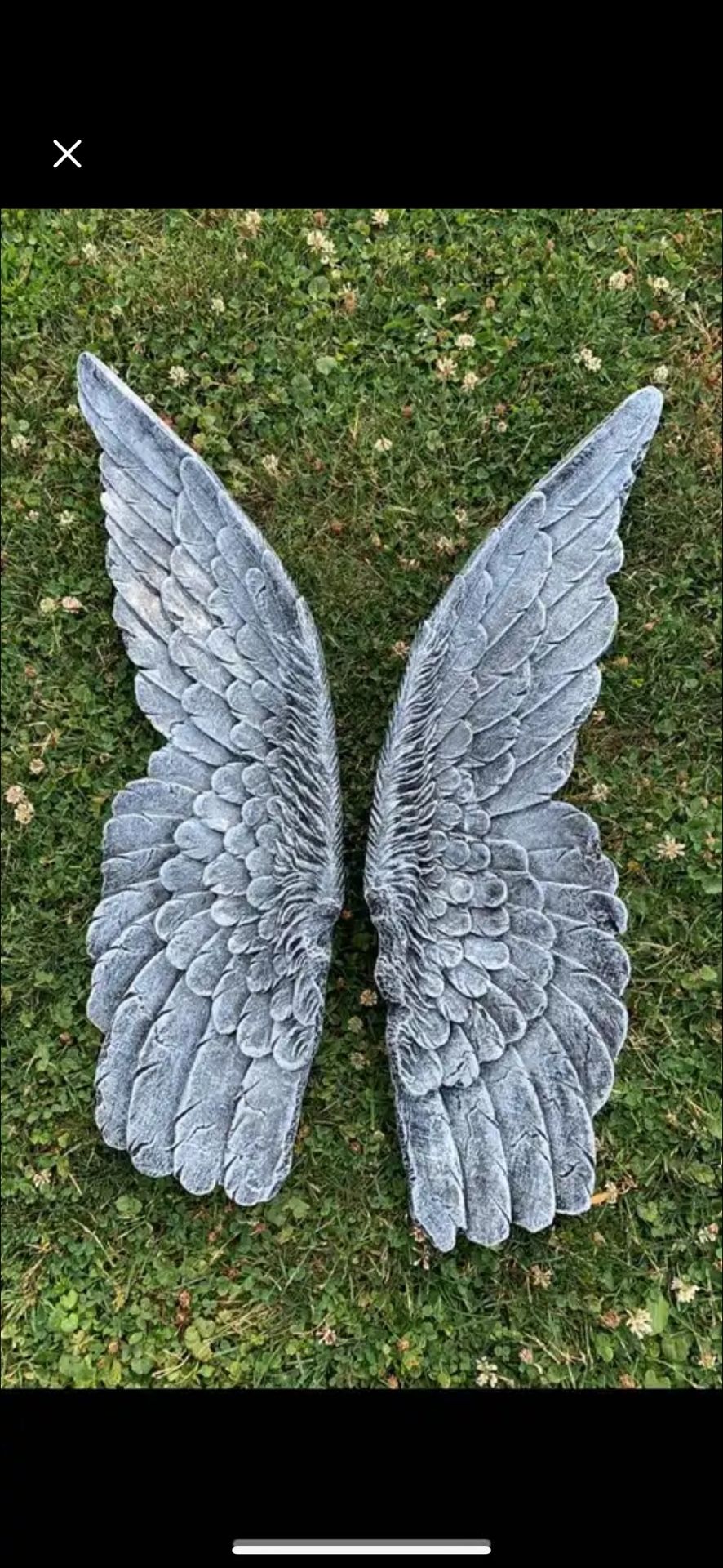 Heavenly Angel Wings, Wall Art