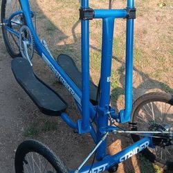 Elliptical Street Strider