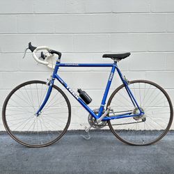 Trek Bicycle Blue And Bianchi Bike Together 
