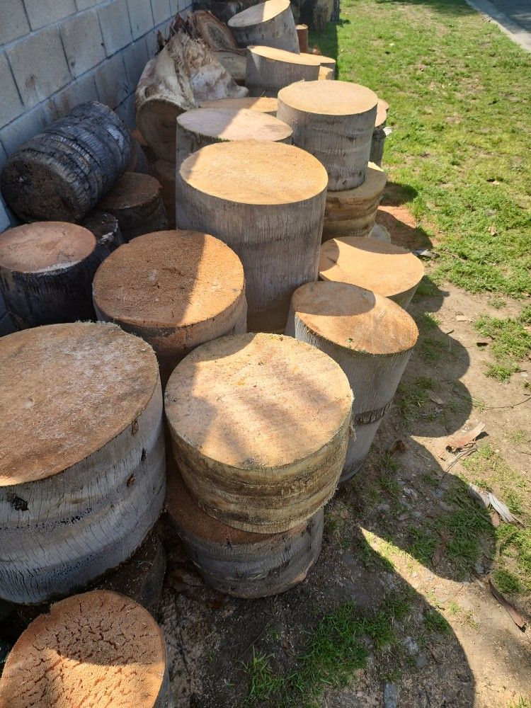 Palm Tree Stumps for Sale in City Of Industry, CA OfferUp