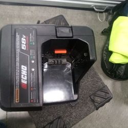 Echo 58v Quick Charge