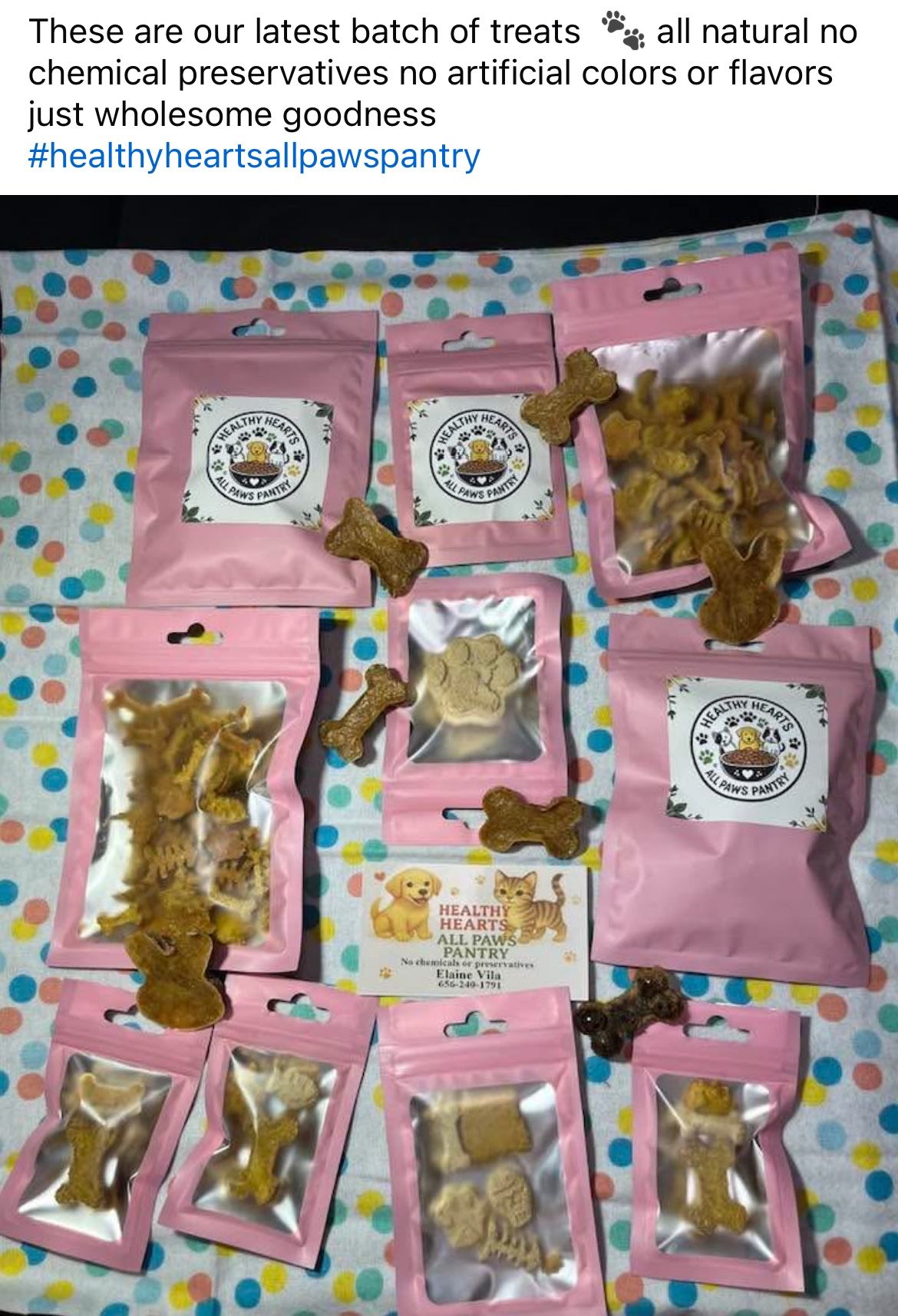 Healthy Treats For Pups And Kitties